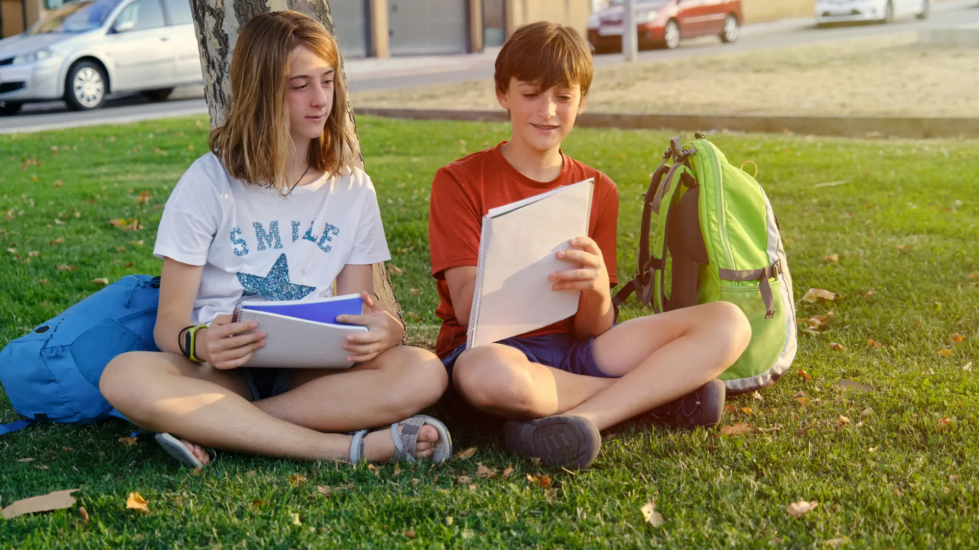 refuerzo escolar eso